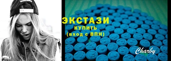 индика Дмитров