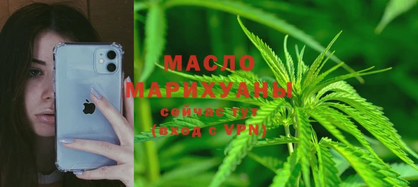 молекула духа Новозыбков