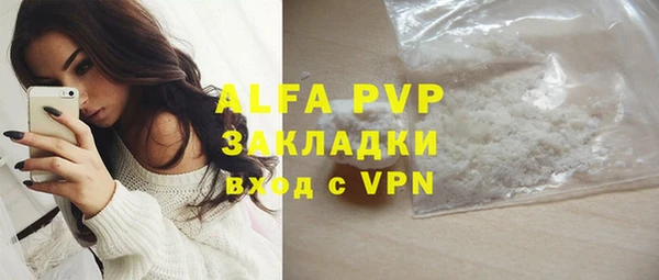 индика Дмитров