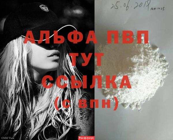 дживик Гусев