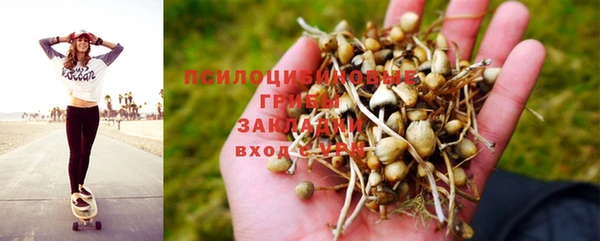 молекула духа Дмитровск