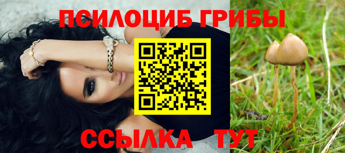 Галлюциногенные грибы GOLDEN TEACHER  Псилоцибиновые грибы GOLDEN TEACHER  Нурлат 