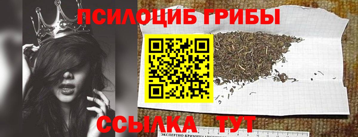 Нурлат  Псилоцибиновые грибы Cubensis  Вход с VPN 